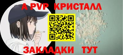 спиды Донской