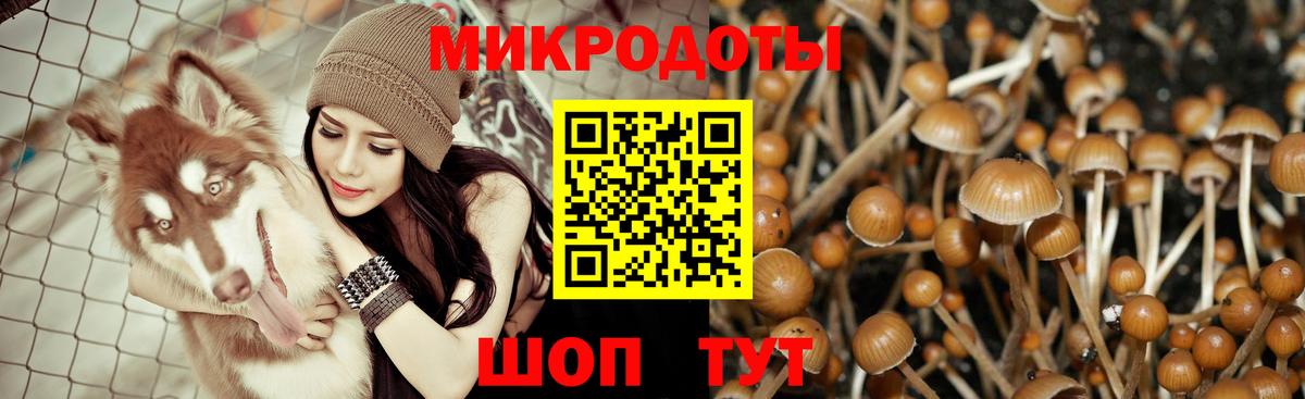 Псилоцибиновые грибы MAGIC MUSHROOMS Магнитогорск